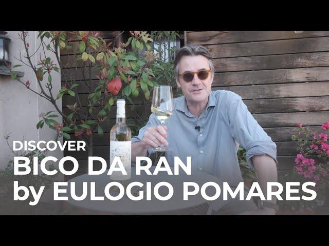 Discover Spanish white wine Bico Da Ran