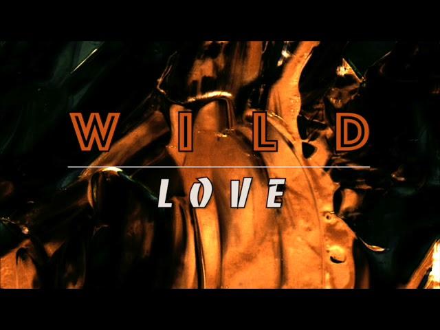 Wild Love | Melancholic Rap Beat w/ Hook | 150 Bpm | No Tag | Instrumental