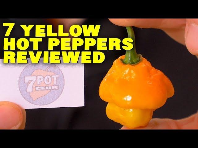 My 7 Favorite Yellow Hot Peppers Reviewed