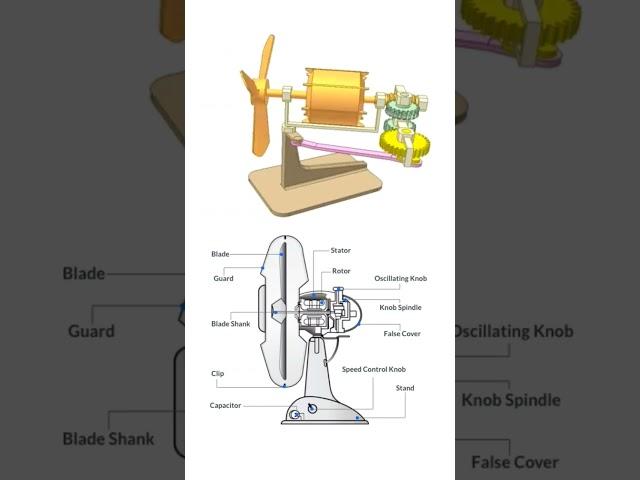 Swing Fan | Inside Mechanism