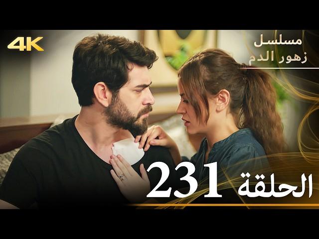 الحلقة 231 | مسلسل زهور الدم | مدبلج بالعربية | Kan Çiçekleri | جودة 4K