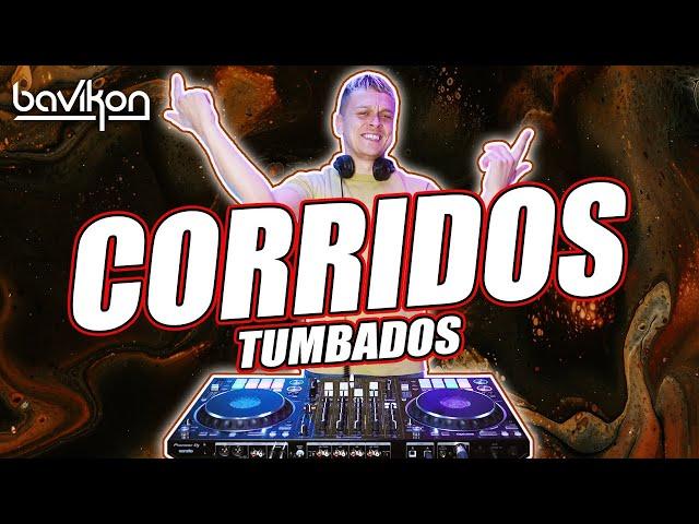 Corridos Tumbados Mix 2023 | #2 | Corridos Nuevos | Peso Pluma, Fuerza Regida, Junior H by bavikon