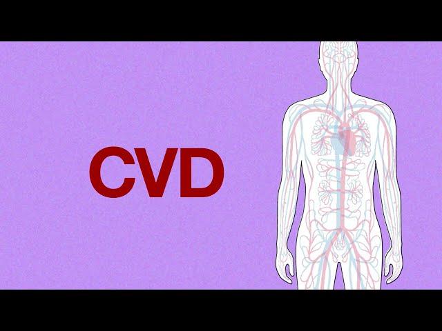 Cardiovascular disease (CVD): What is it?