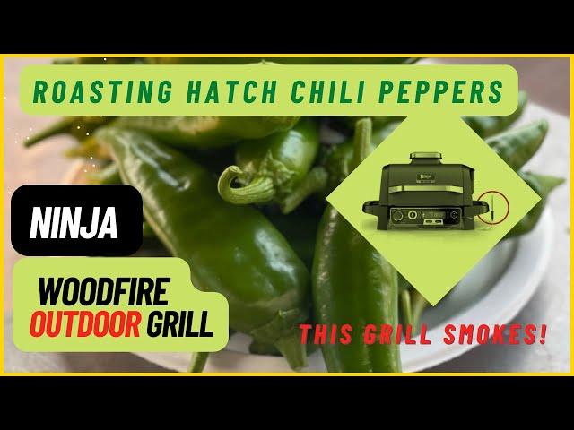 Ninja WoodFire Grill - Real Time Cooking - Hatch Peppers Roasting in real time on Wood Fire grill.