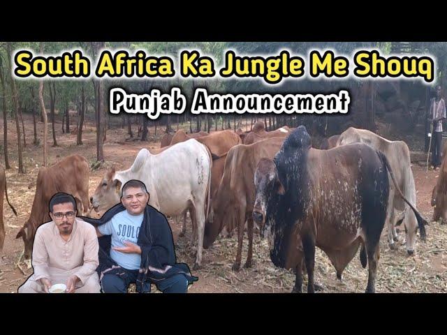 South Africa Me Shouq | Punjab Ki Update || Boss Cattle Farm