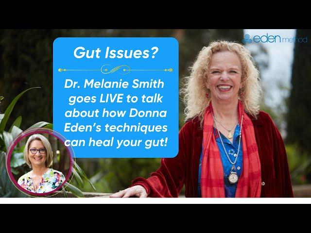 Energy Medicine Essentials for Your Gut