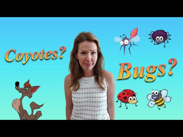 Coyotes Bugs Flys Snakes Termites | Murrieta | Menifee | Temecula