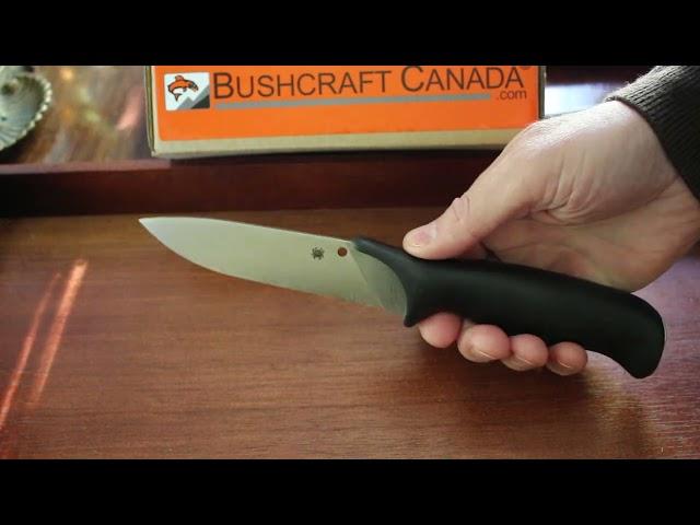 Spyderco Zoomer view by www bushcraftcanada com