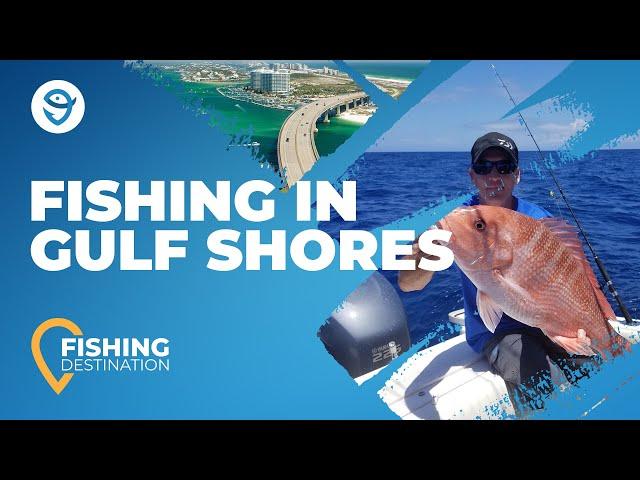 The Complete Guide to Fishing in Gulf Shores