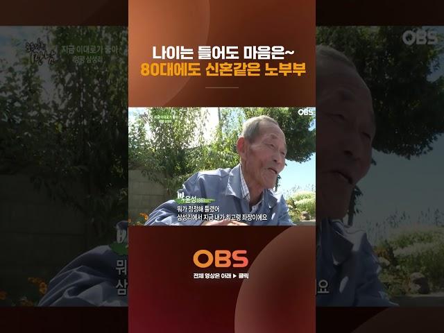 나이는 들어도 마음은~ 80대에도 신혼같은 노부부 #다큐 #양평삼성리 #옥수수떡 #빨래터 #벽화