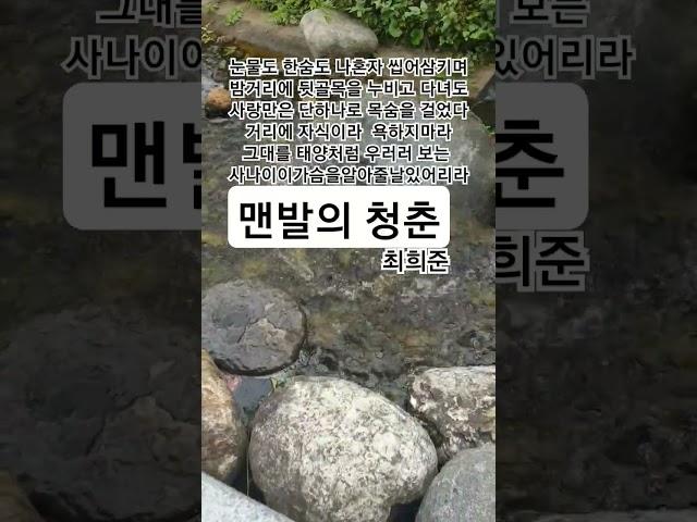 맨발의 청춘  #최희준#트로트#1964최희준인기히트곡