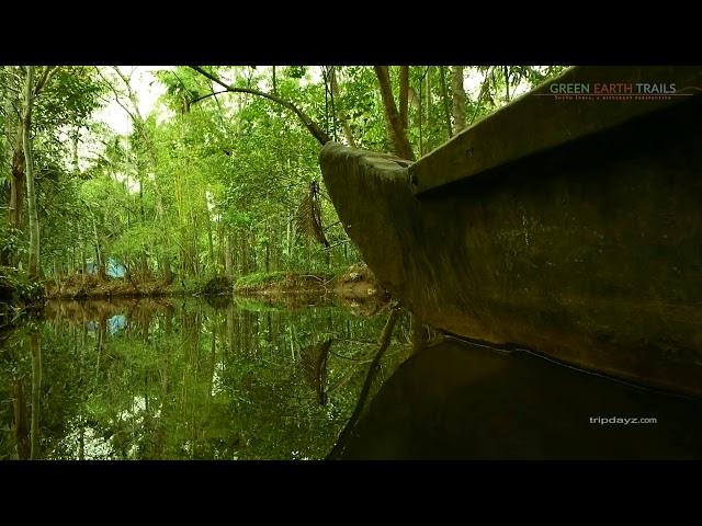 Kerala Village Experience | Kerala Tour Operator | Vaikom Village Country Canoe Cruise