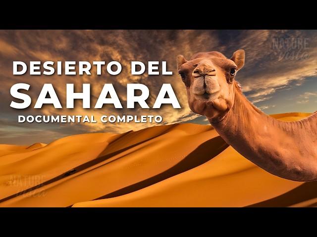 DESIERTO DEL SAHARA | Una Tierra de Extremos - Documental Completo