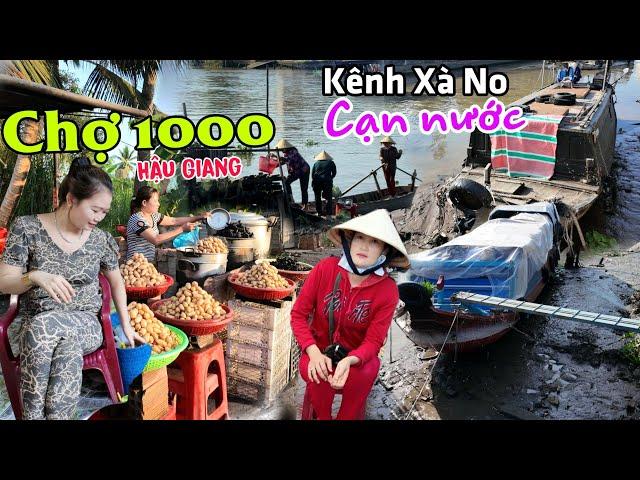 Về Hậu Giang đi Chợ 1000 - Hạn hán Kênh Xà No sắp "Cạn Nước"