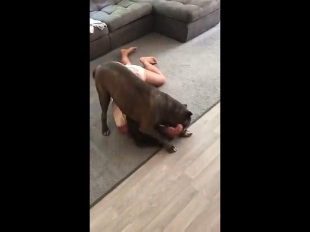 Dog Wrestles Female Owner to the Ground - 1044151