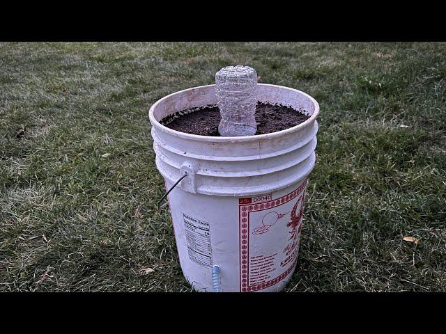 【DIY】食品级自动吸水桶，简单实用零成本 how to build the BEST self-watering  bucket