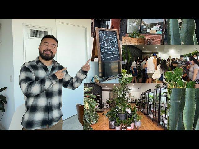 My Plant Shop Tour & Update, Anniversary Event, What's Next?!