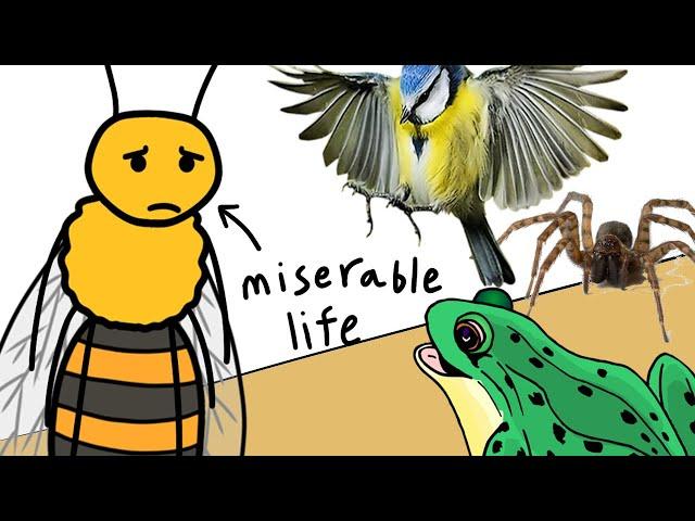 why it sucks to be born as a honeybee