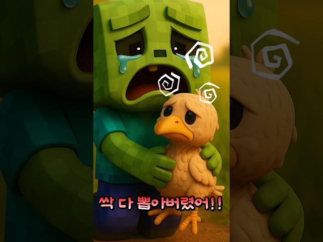 치킨조키 깃털 도둑은?!