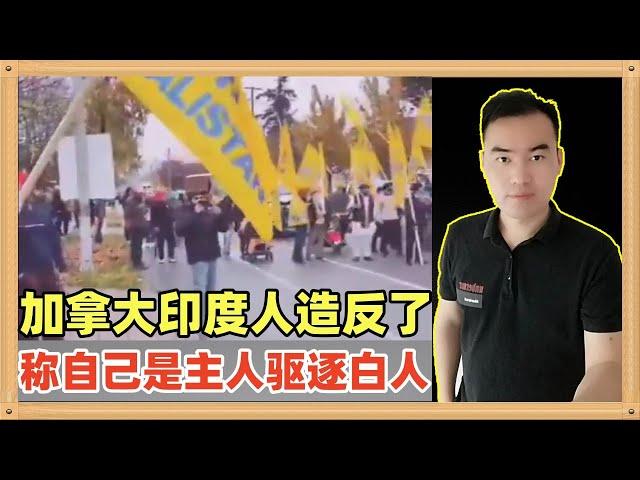 在加拿大的印度人造反了，他们上街了称自己才是这块土地的主人，当地白人是入侵者，要滚回欧洲，这下有好戏看了