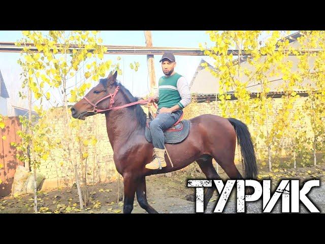 УЛУГБЕК АКАДАН ОТНИГ КУЧЛИК ТУРИК СОТИЛАДИ  !..