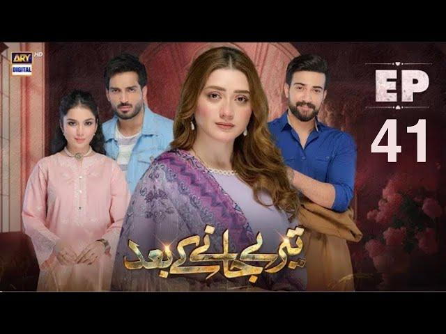 Teray Janay Ka Baad Episode 41 - 24th Sept 2024 - Tera Janay Ka Baad Episode 41 - ARY Drama Review