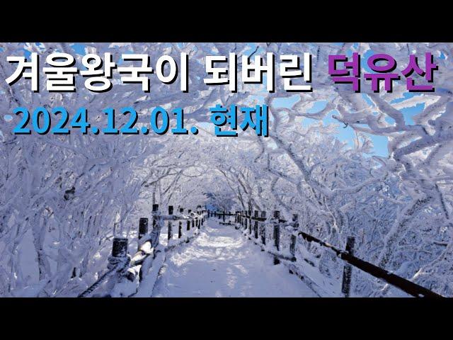 2024.12.01. 겨울왕국이 되어 버린 덕유산