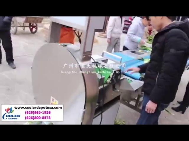 Commercial vegetable washer /Vegetable washing machine