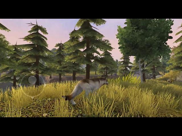 New Wild Game Sneak Peak! - Wolf Gameplay