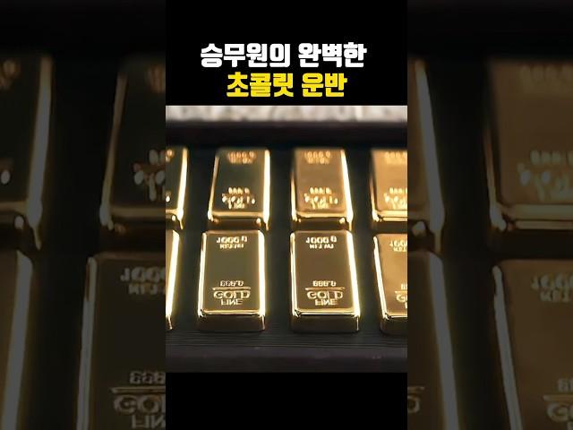 승무원의 충격적인 행동