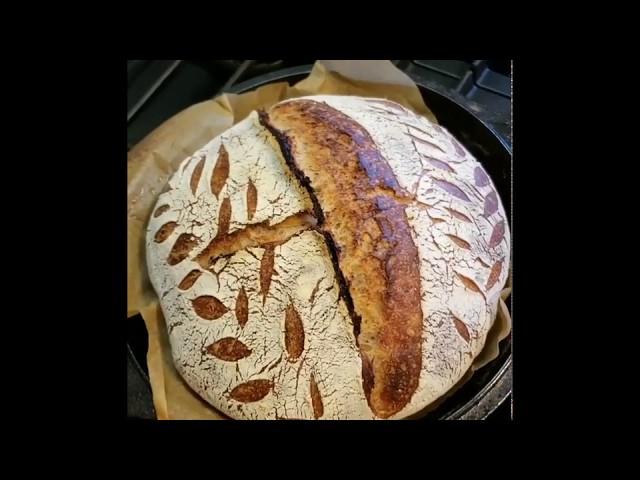 Basic No-Knead Sourdough Bread Recipe & Instructions