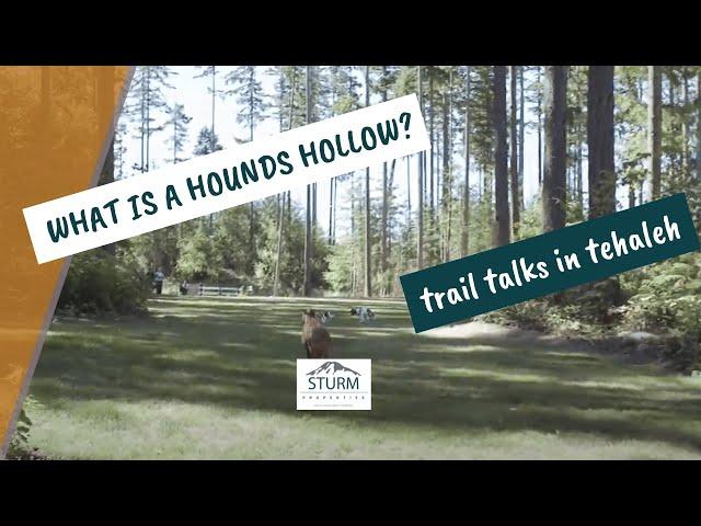 Tehaleh - Trail Talks | Hounds Hollow and More!