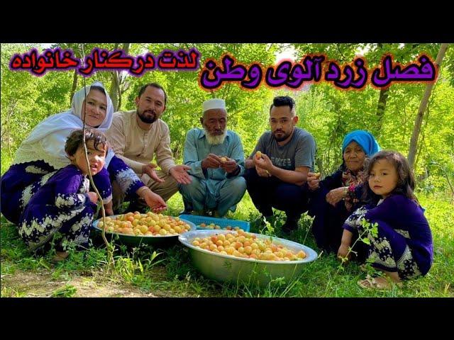 فصل توت وزرد آلوی وطن جای عزیزان خالی .باجمعع خانواده لذت بردیم