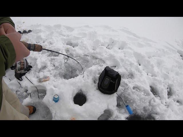 Ice fishing for the MYSTERY FISH at Lake Dillon!