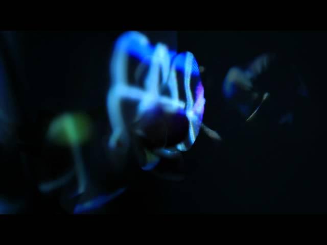 Say your name by Chris Fay