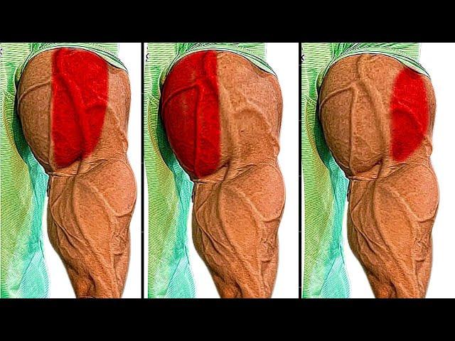 Bicep Short Head Workout Bicep Long Head Workout Barchialis Workout & Bicep Brachii