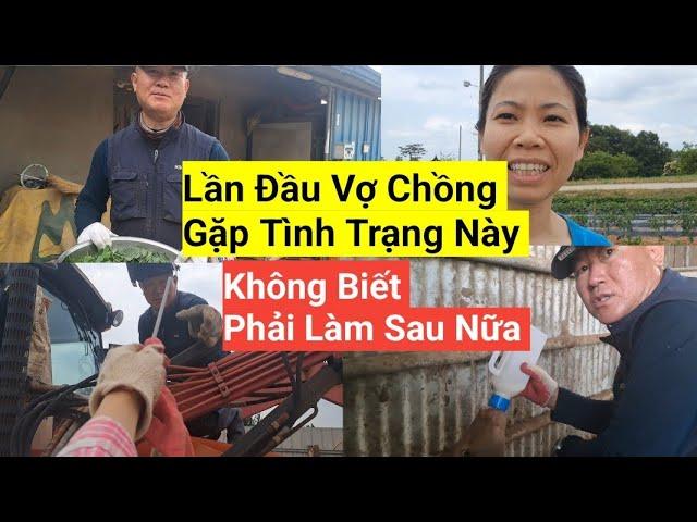 1089# Lần Đầu Gặp Tình Trạng Này Vợ Chồng Không Biết Phải Làm Sau