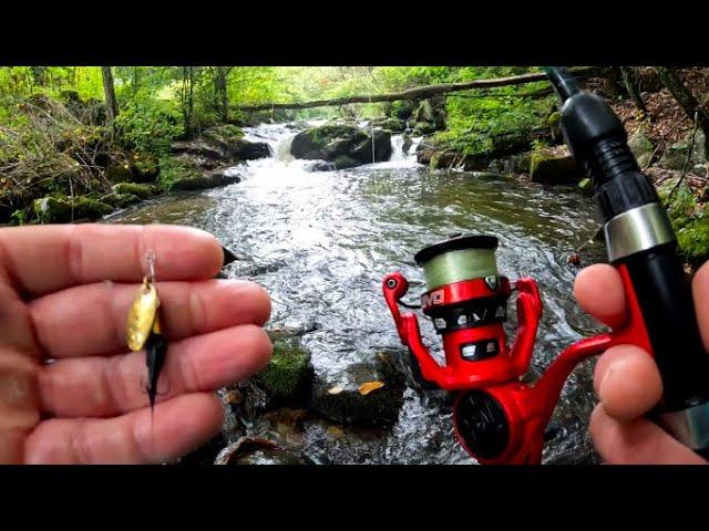 Fishing a Overlooked Appalachian Mtn Creek