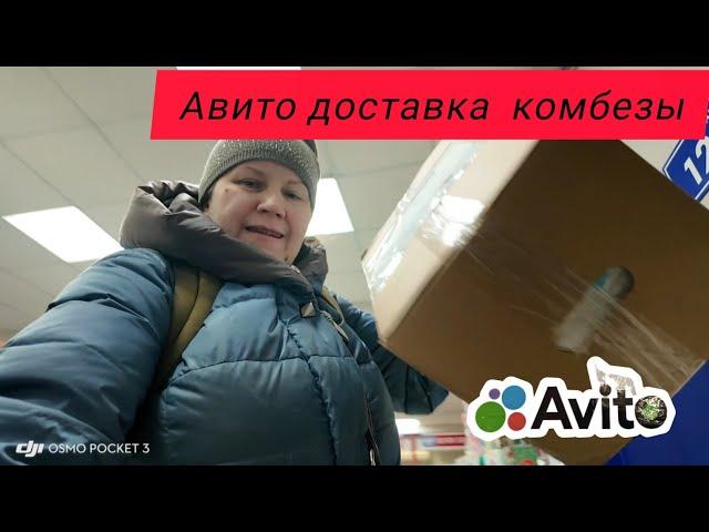 Авито доставка , комбинезоны за 2 дня .