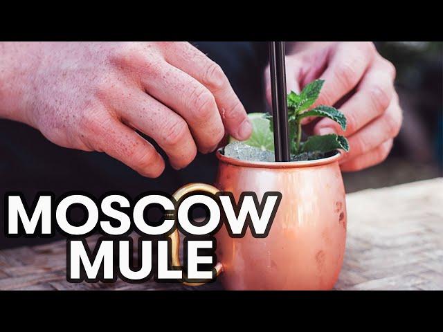 Beginner cocktails: Moscow Mule