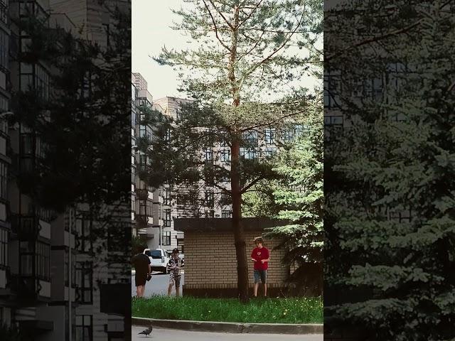 27 мая 2025 г.