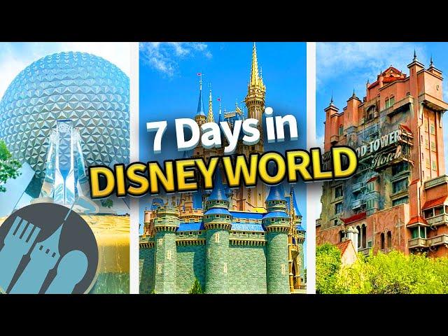 The ULTIMATE 7 Day Disney World Trip Itinerary