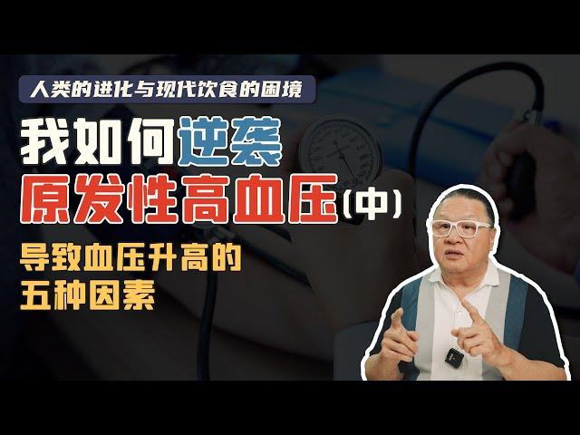 我如何逆袭原发性高血压（中） ，经过我多年的学习与寻找，我找到了这五个可能导致血压上升的因素，分享给大家！