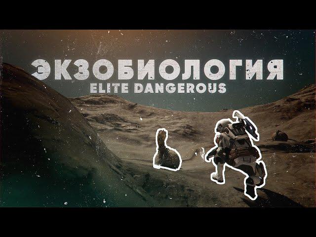 ЭКЗОБИОЛОГИЯ | ELITE DANGEROUS: Odyssey | Гайд для новичков