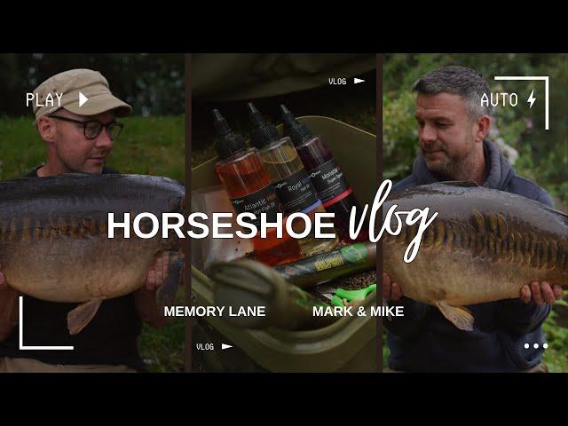 BIG CARP - DAY TICKET FISHING FOR £1.25p/Hour - Horseshoe Lake - Mark & Mike