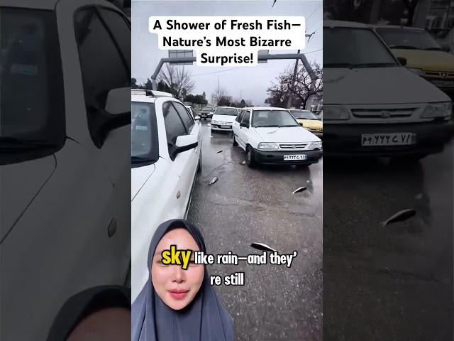 When Fish Fall from the Sky #shortsfeed #amazing