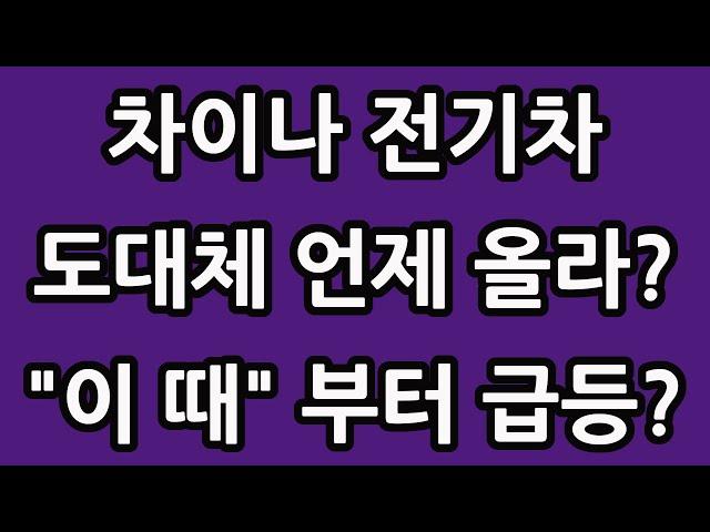 차이나 전기차 SOLACTIVE 주식 주가 전망 타이거 TIGER 중국 ETF 비야디 테슬라 니콜라 루시드 엔비디아 아이온큐 TQQQ SOXL TMF 종합 정리!