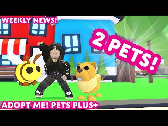  EQUIPPING TWO PETS?!  Adopt Me! Pets Plus+  Weekly News! ️ Adopt Me! on Roblox