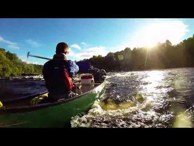 Canoeing the River Tay with the Staffies