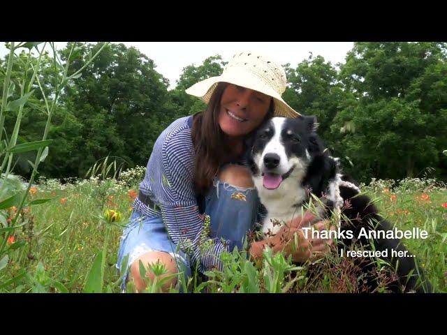 MONICA TAYLOR - Rescues - Official Video